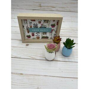 Tiered tray set potted succulents plant sign grow happy 4 piece